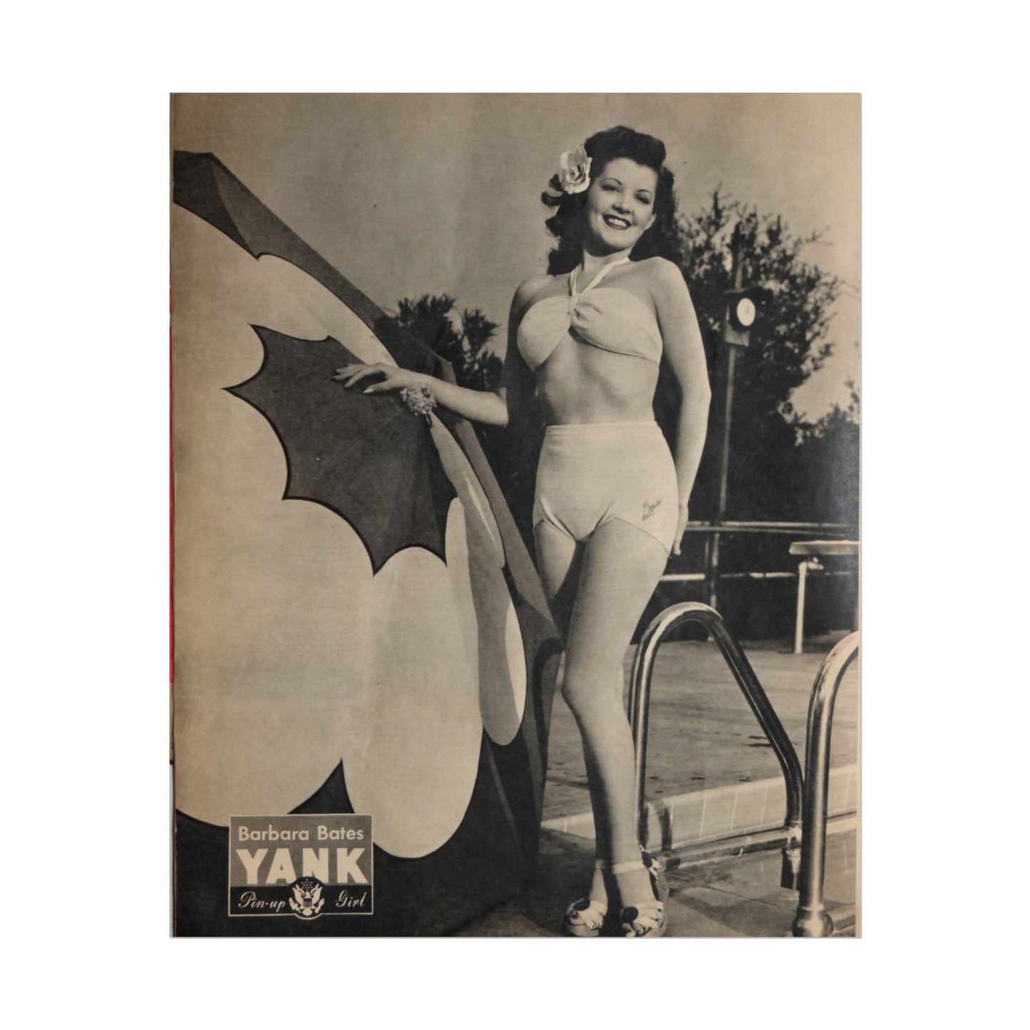 Pin Up Girl Barbara Bates Rolled Poster - Old School Male 