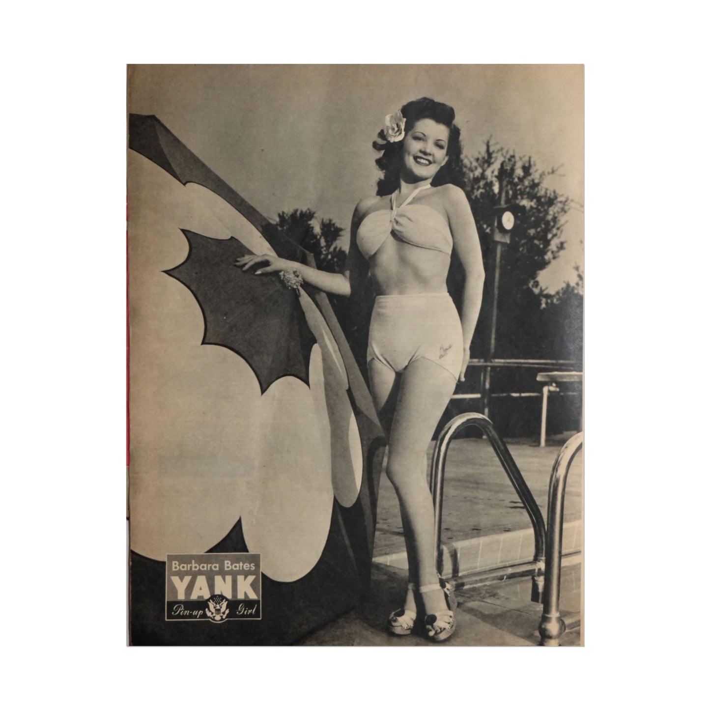 Pin Up Girl Barbara Bates Rolled Poster - Old School Male 