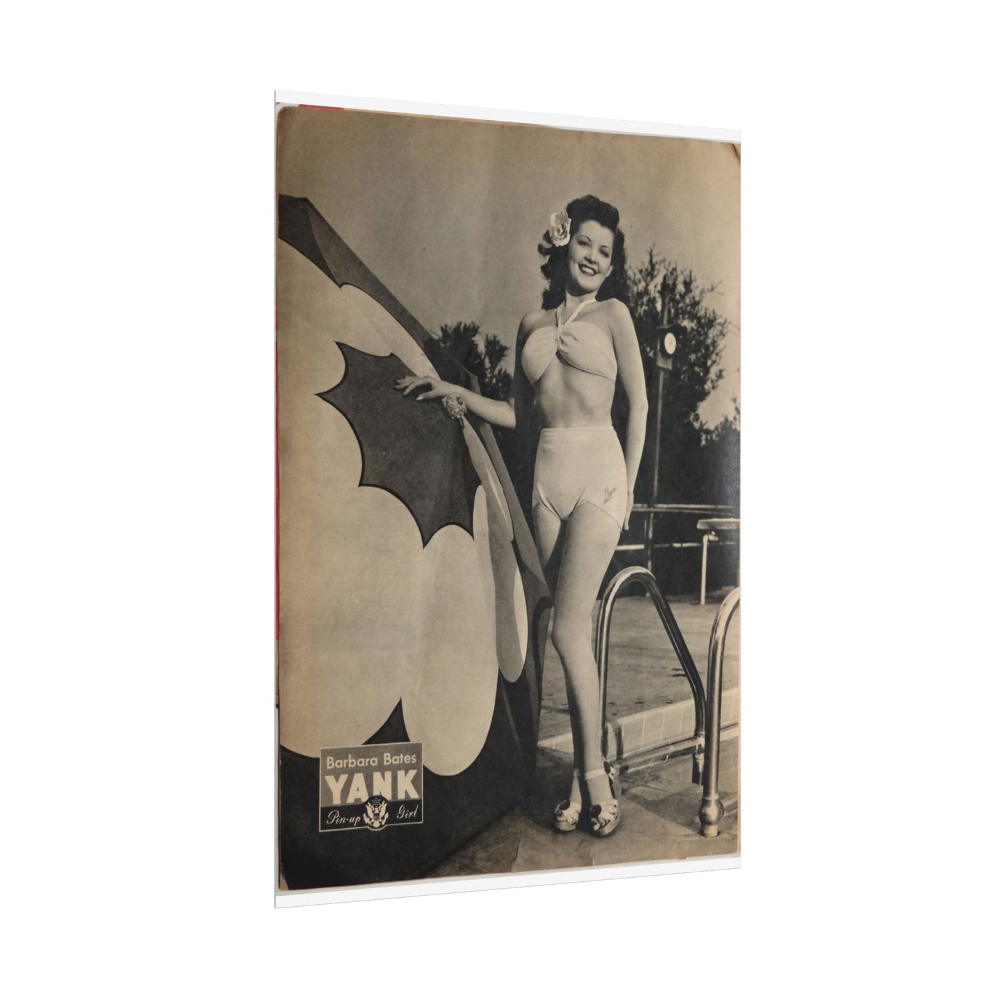 Pin Up Girl Barbara Bates Rolled Poster