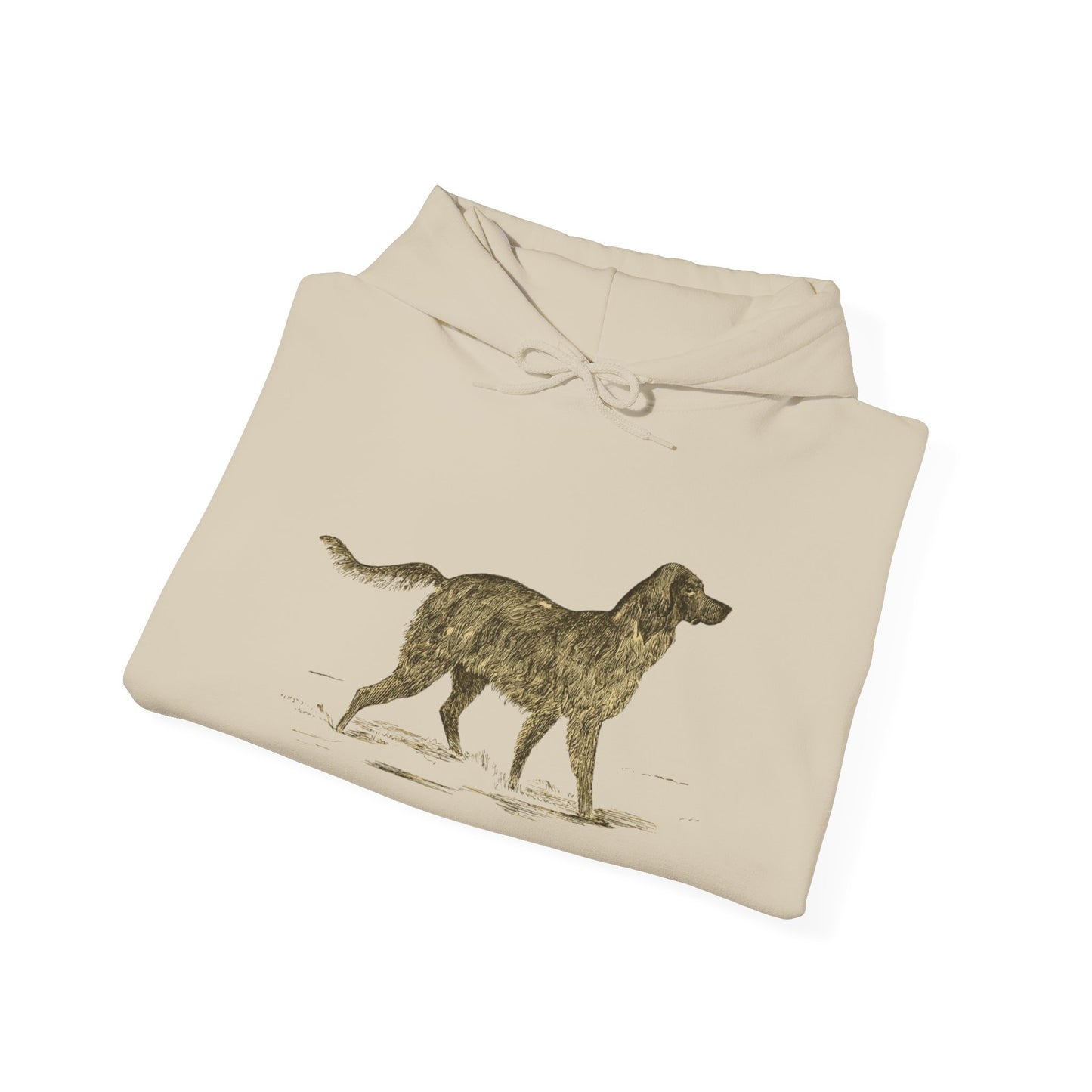 Cozy English Setter Hoodie for Dog Lovers - 50% Cotton, Adjustable Drawstring, Kangaroo Pocket