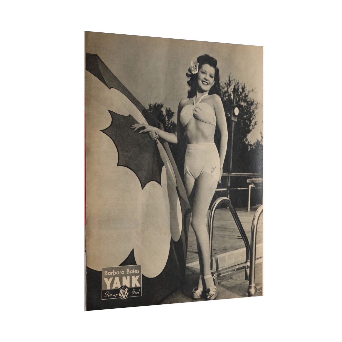 Pin Up Girl Barbara Bates Rolled Poster