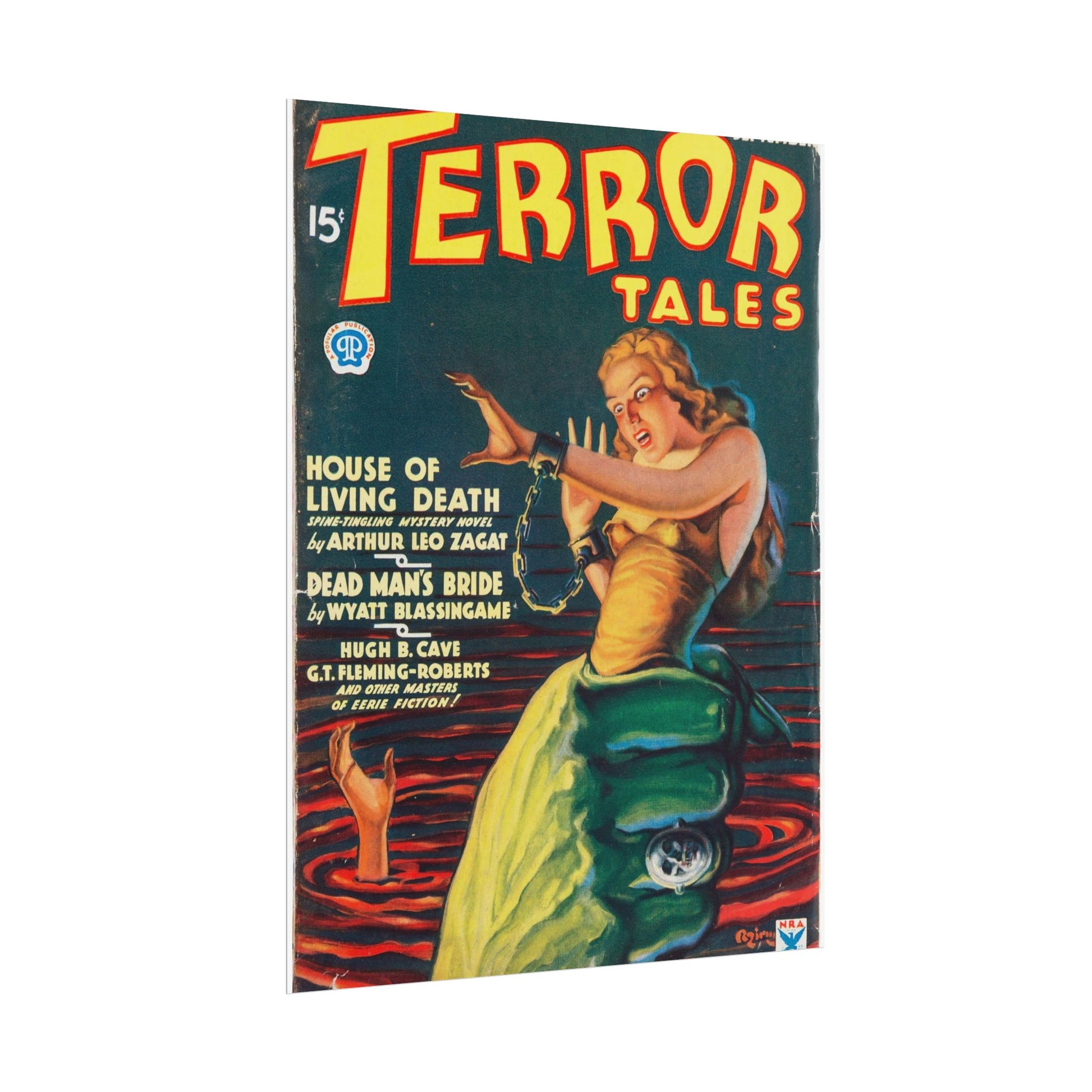 Retro Terror Tales Rolled Posters - Old School Male 