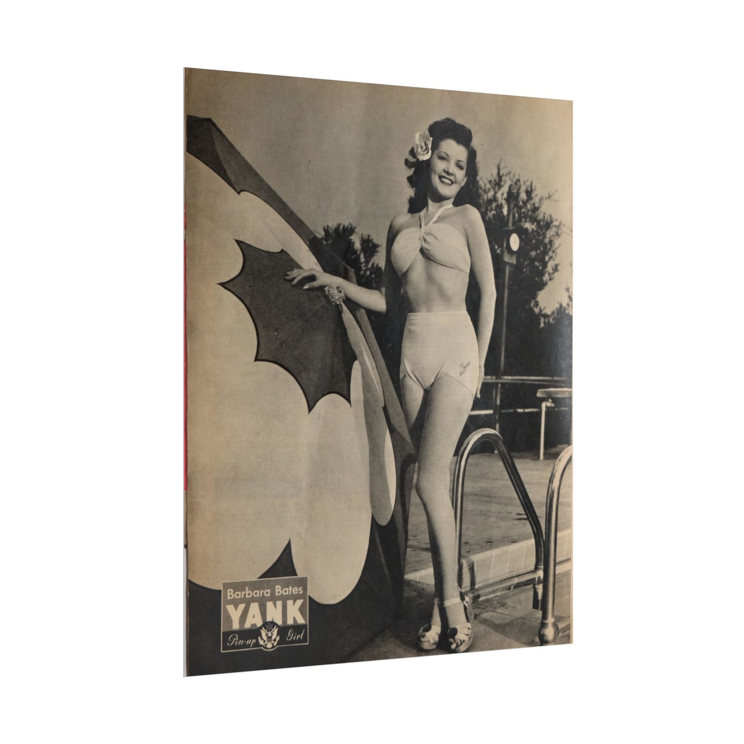 Pin Up Girl Barbara Bates Rolled Poster