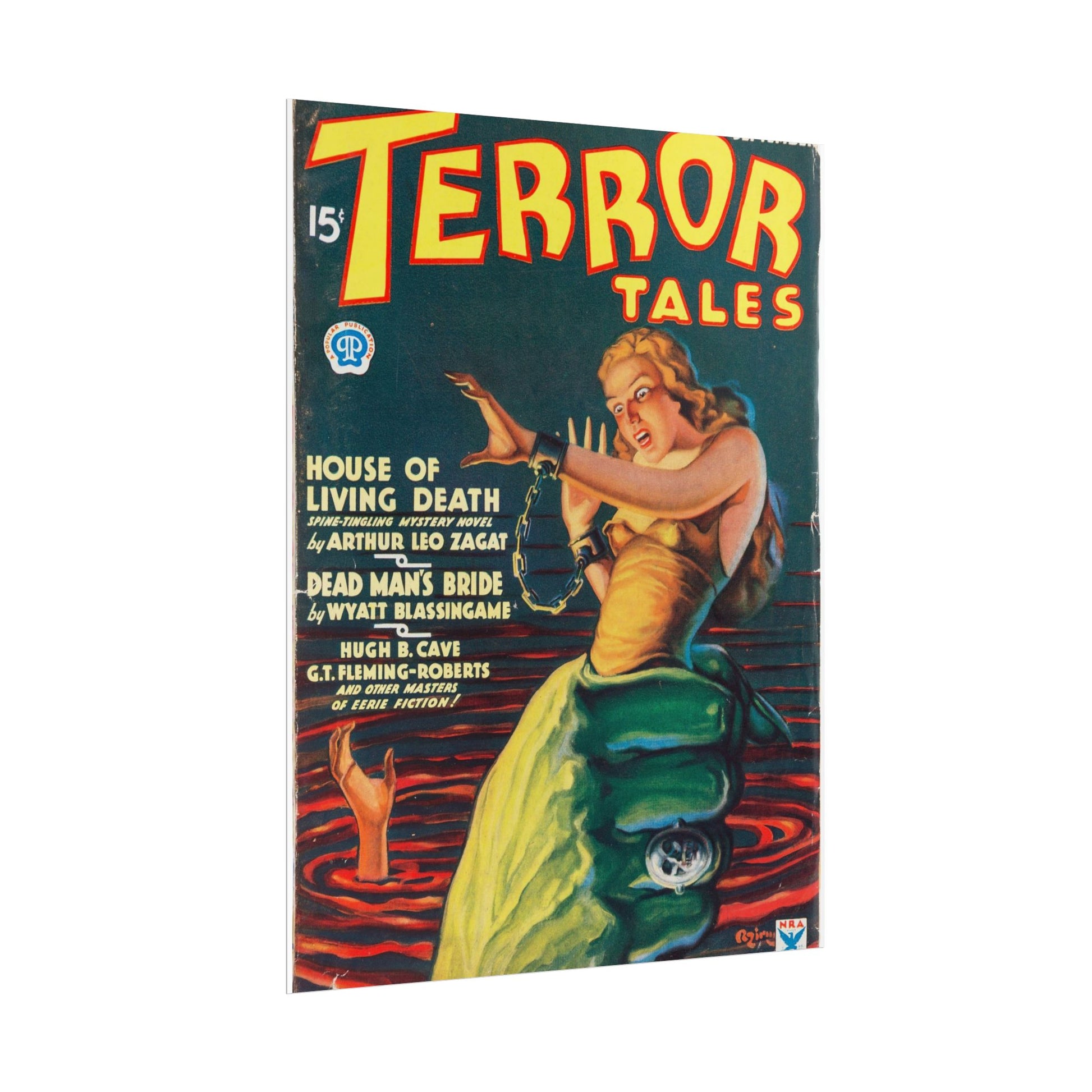 Retro Terror Tales Rolled Posters - Old School Male 