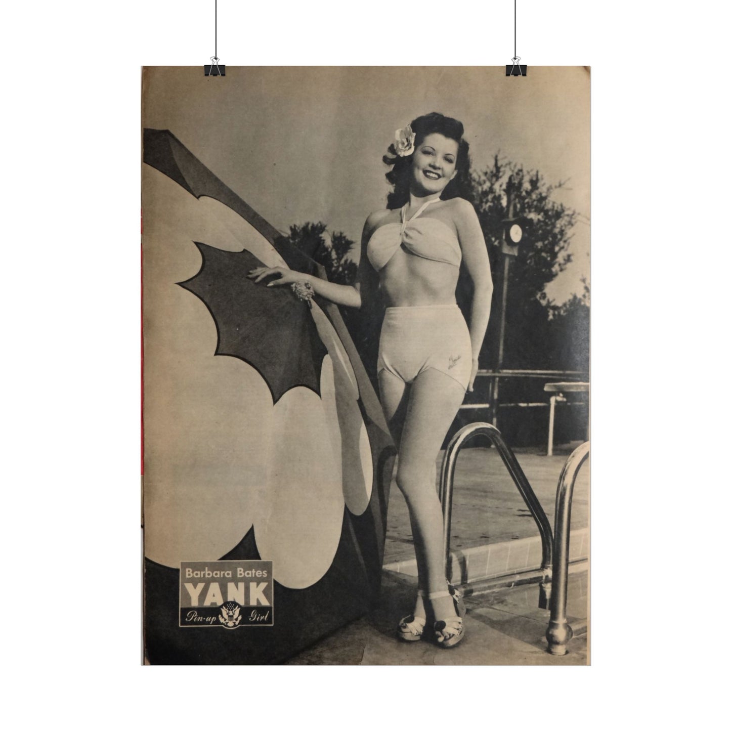 Pin Up Girl Barbara Bates Rolled Poster