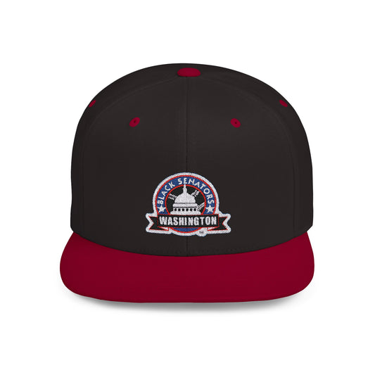 Washington Black Senators Negro League Baseball Team Retro Design Snapback Hat - Old School Male 