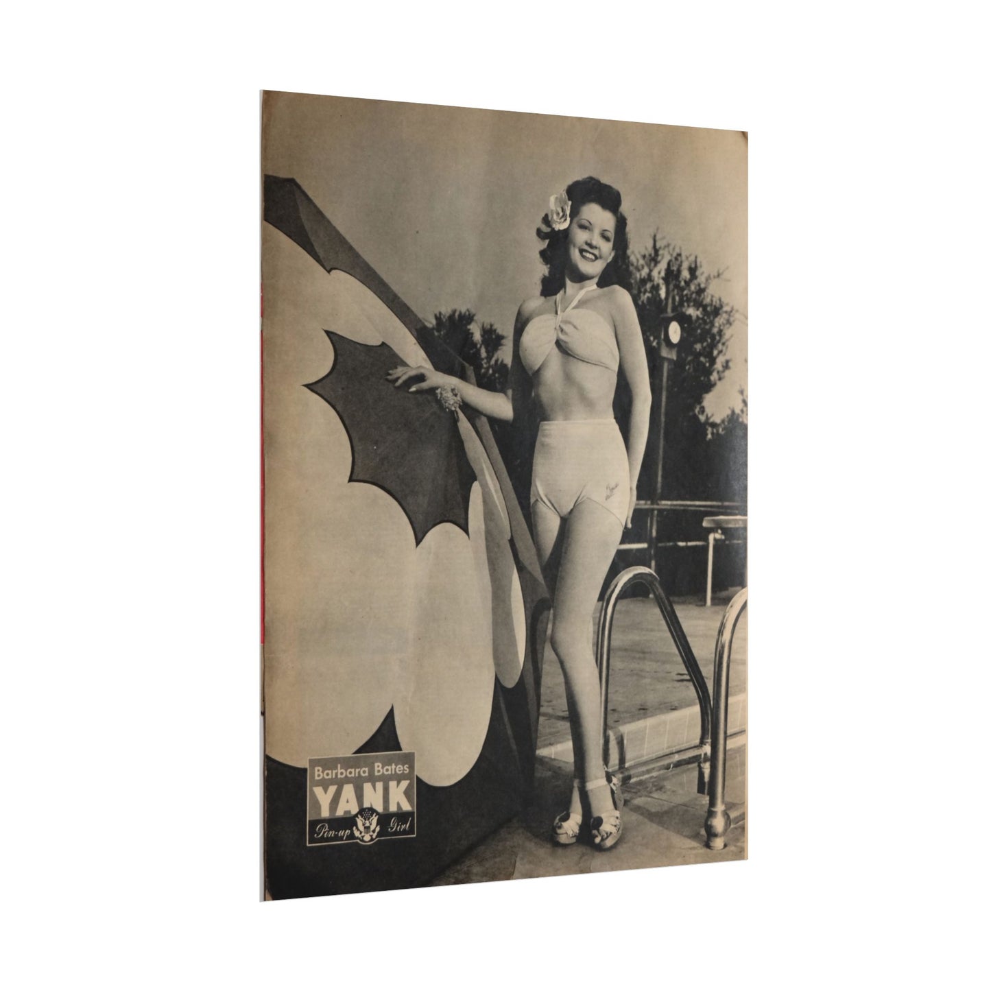 Pin Up Girl Barbara Bates Rolled Poster