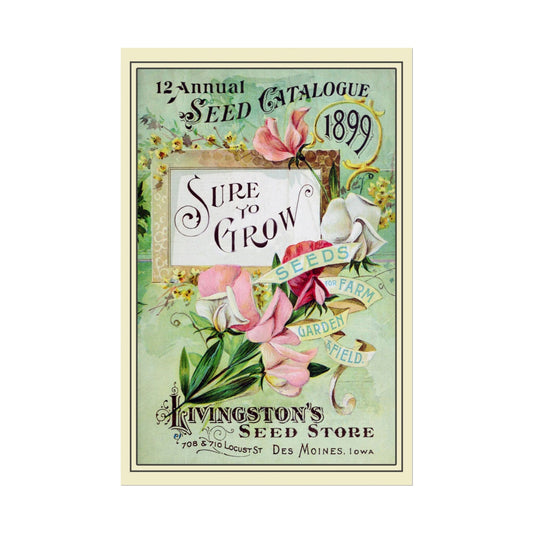 Vintage Seed Catalog Poster Print, Garden Wall Art, Floral Botanical Decor, Farmhouse Chic Home Decor, Gardening Gift - Old School Male 