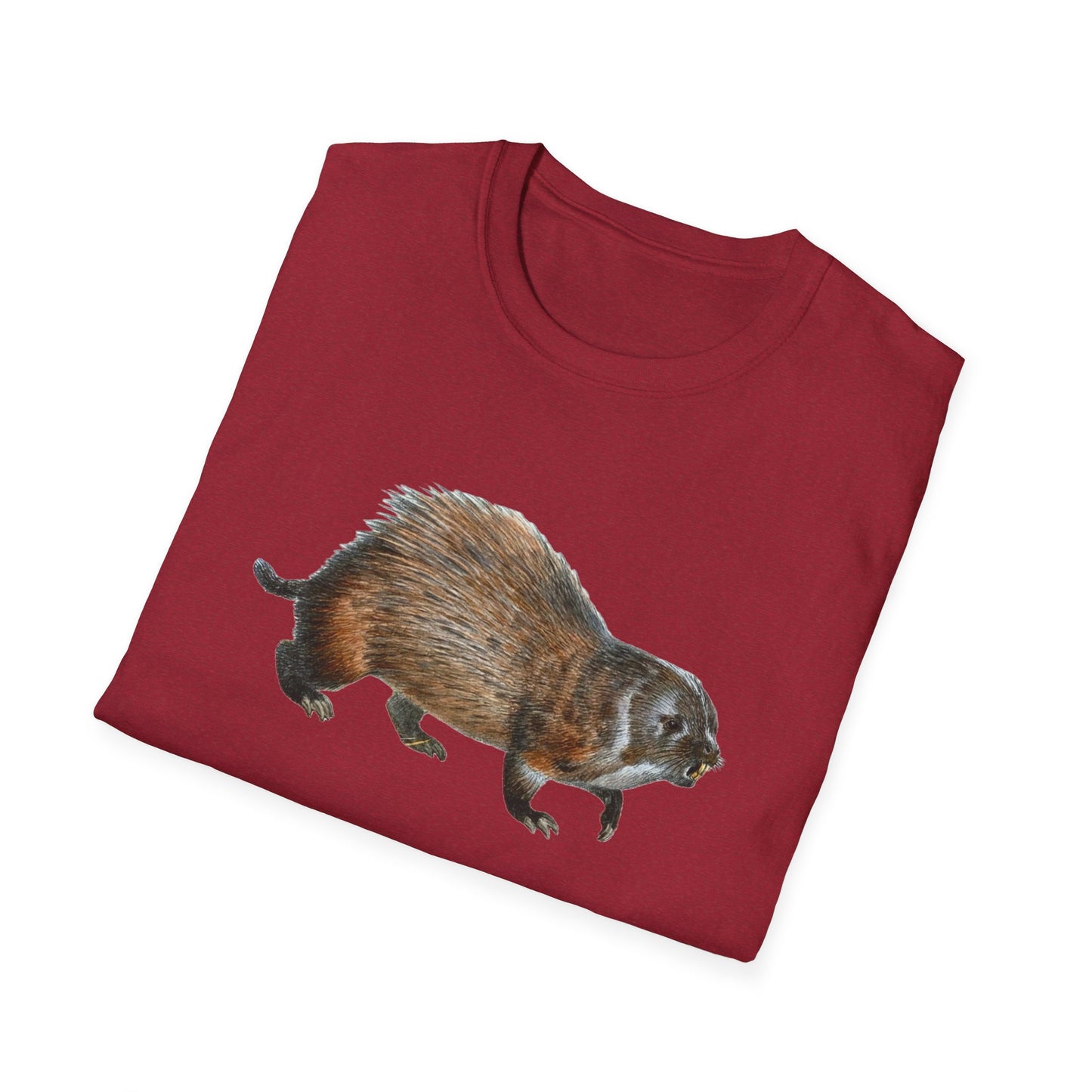 Vintage-inspired Unisex Soft Cotton Beaver Tee