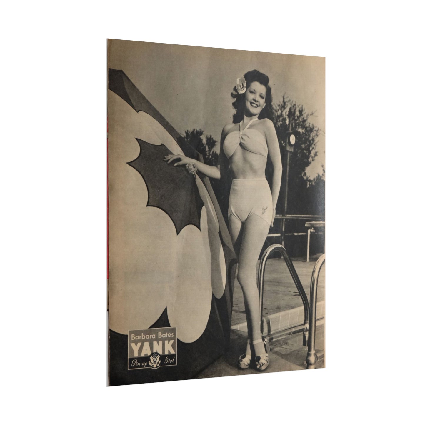 Pin Up Girl Barbara Bates Rolled Poster