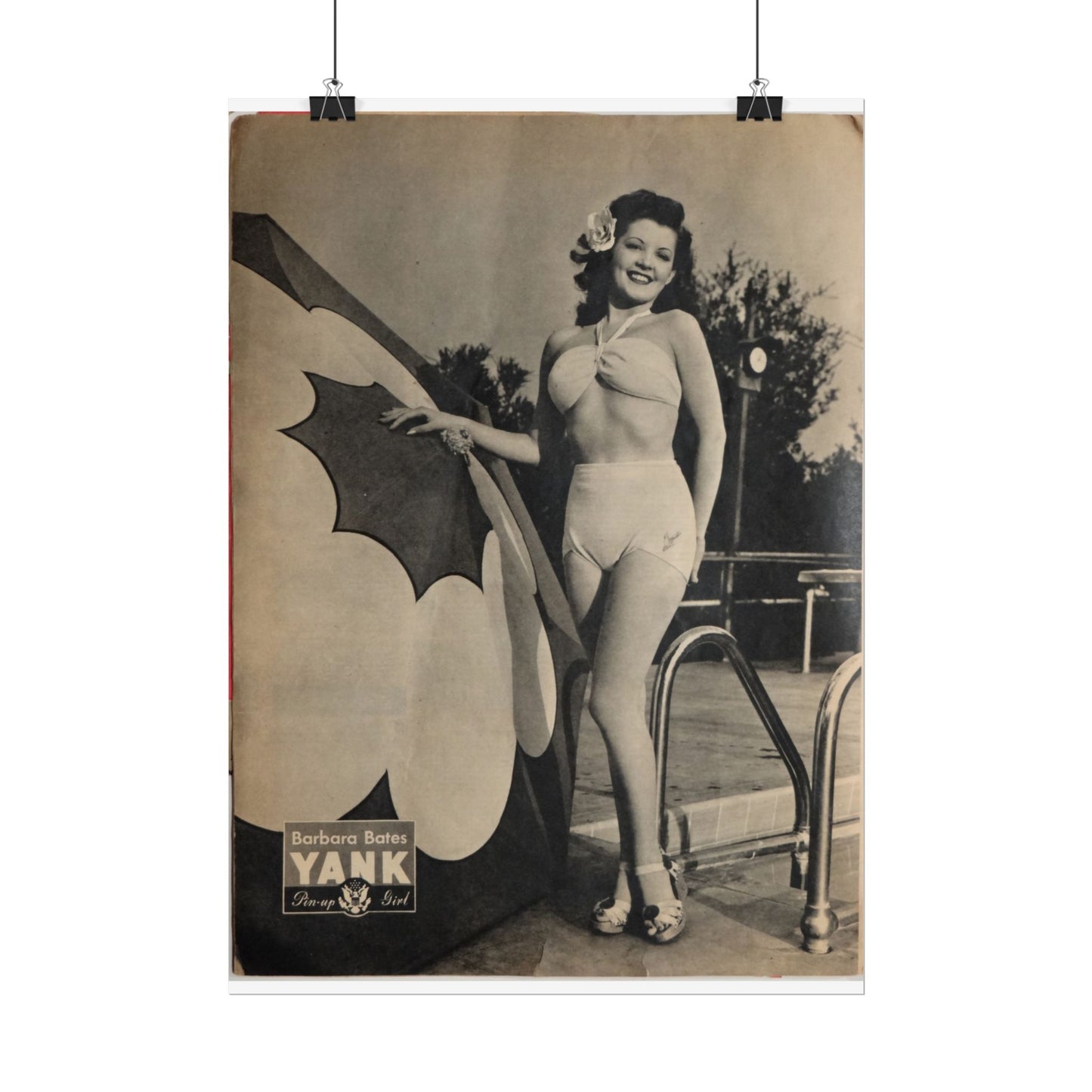 Pin Up Girl Barbara Bates Rolled Poster