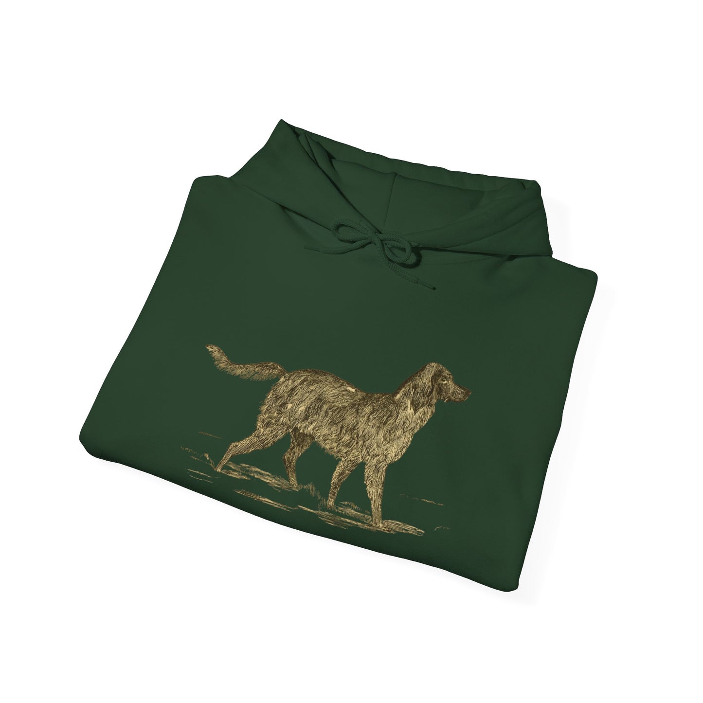 Cozy English Setter Hoodie for Dog Lovers - 50% Cotton, Adjustable Drawstring, Kangaroo Pocket