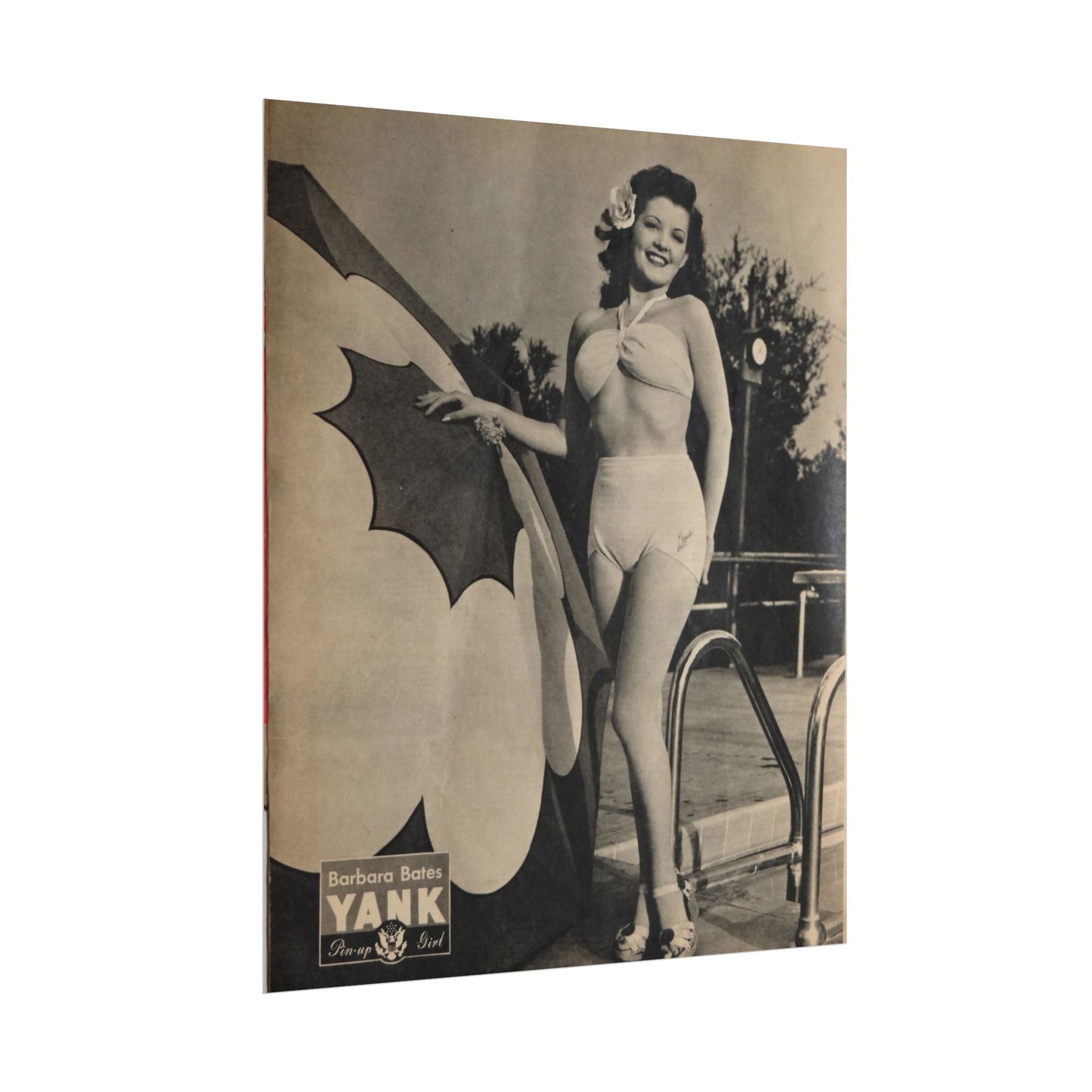 Pin Up Girl Barbara Bates Rolled Poster