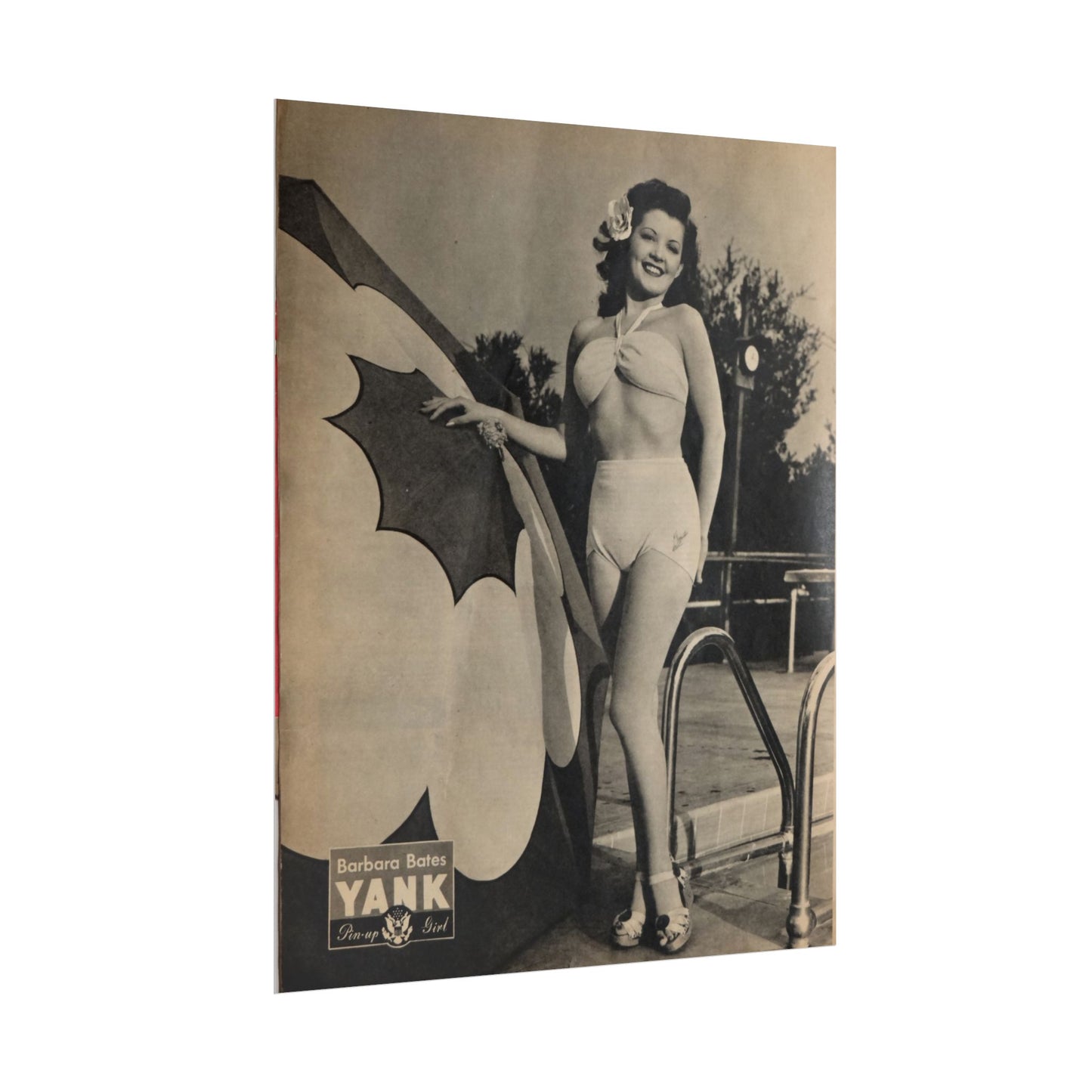 Pin Up Girl Barbara Bates Rolled Poster