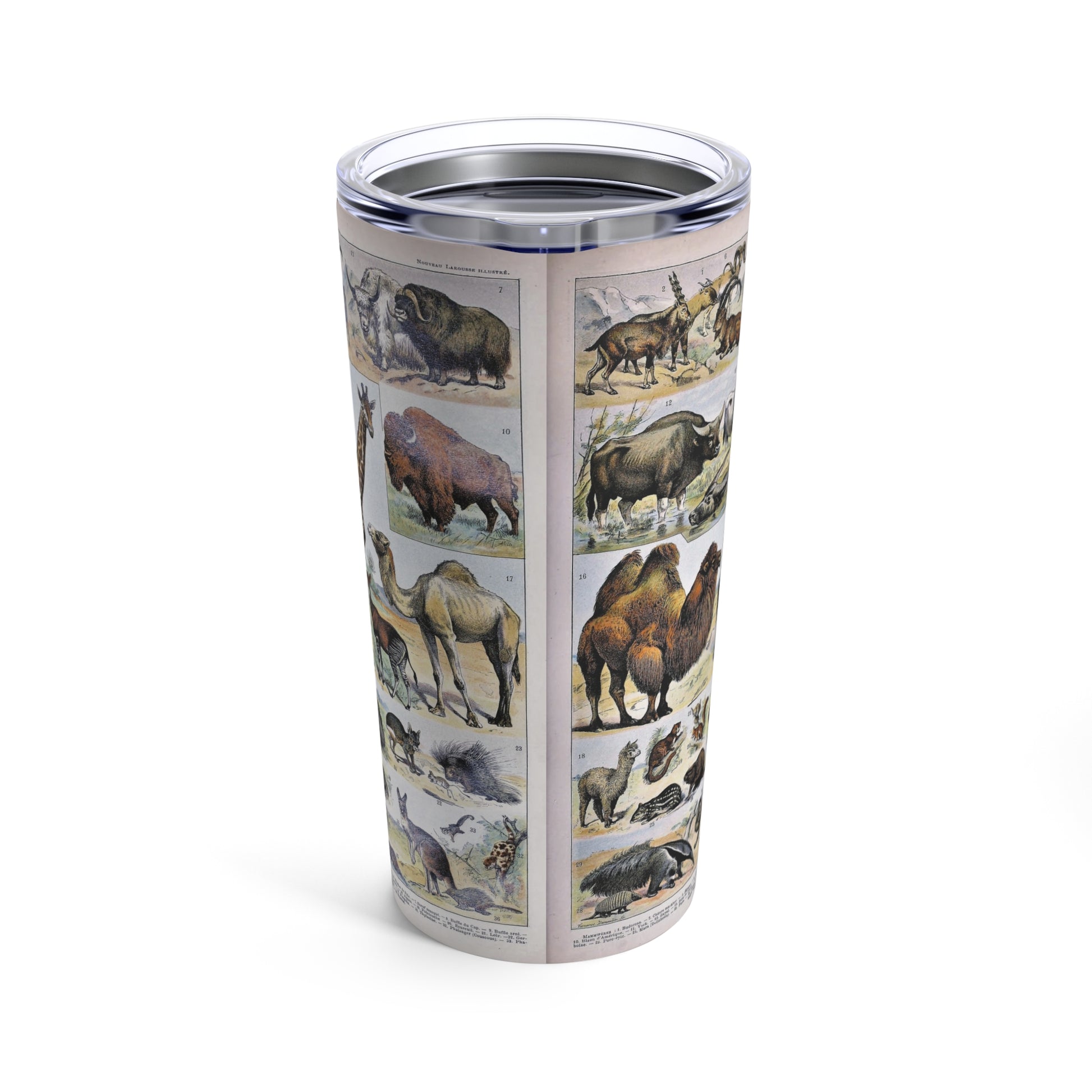 Mammals Insulated 20oz Stainless Steel Tumbler with Clear Lid - Old School Male 