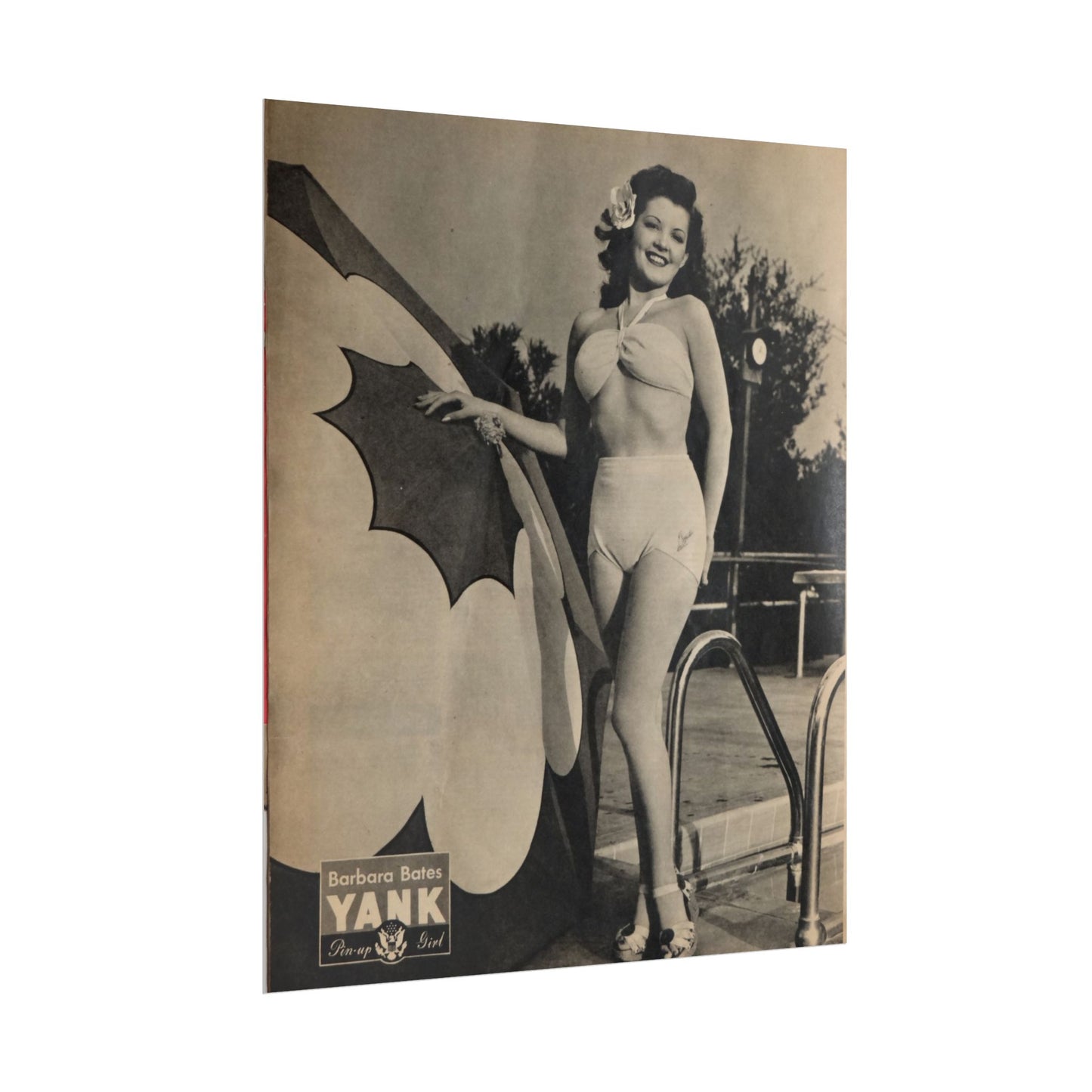 Pin Up Girl Barbara Bates Rolled Poster