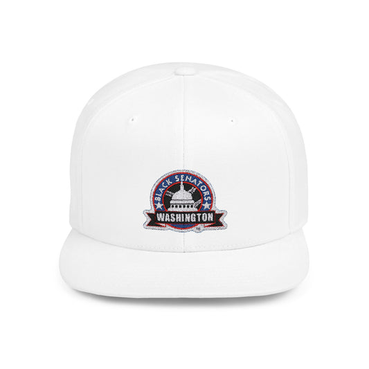 Washington Black Senators Negro League Baseball Team Retro Design Snapback Hat - Old School Male 