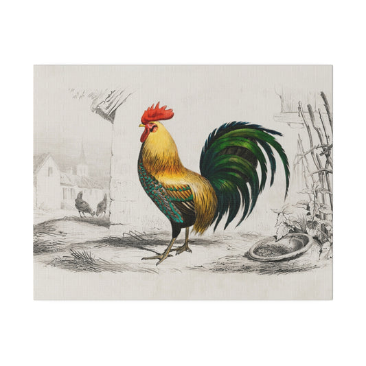 Vintage Rooster Matte Canvas, Stretched, 0.75" - Old School Male 