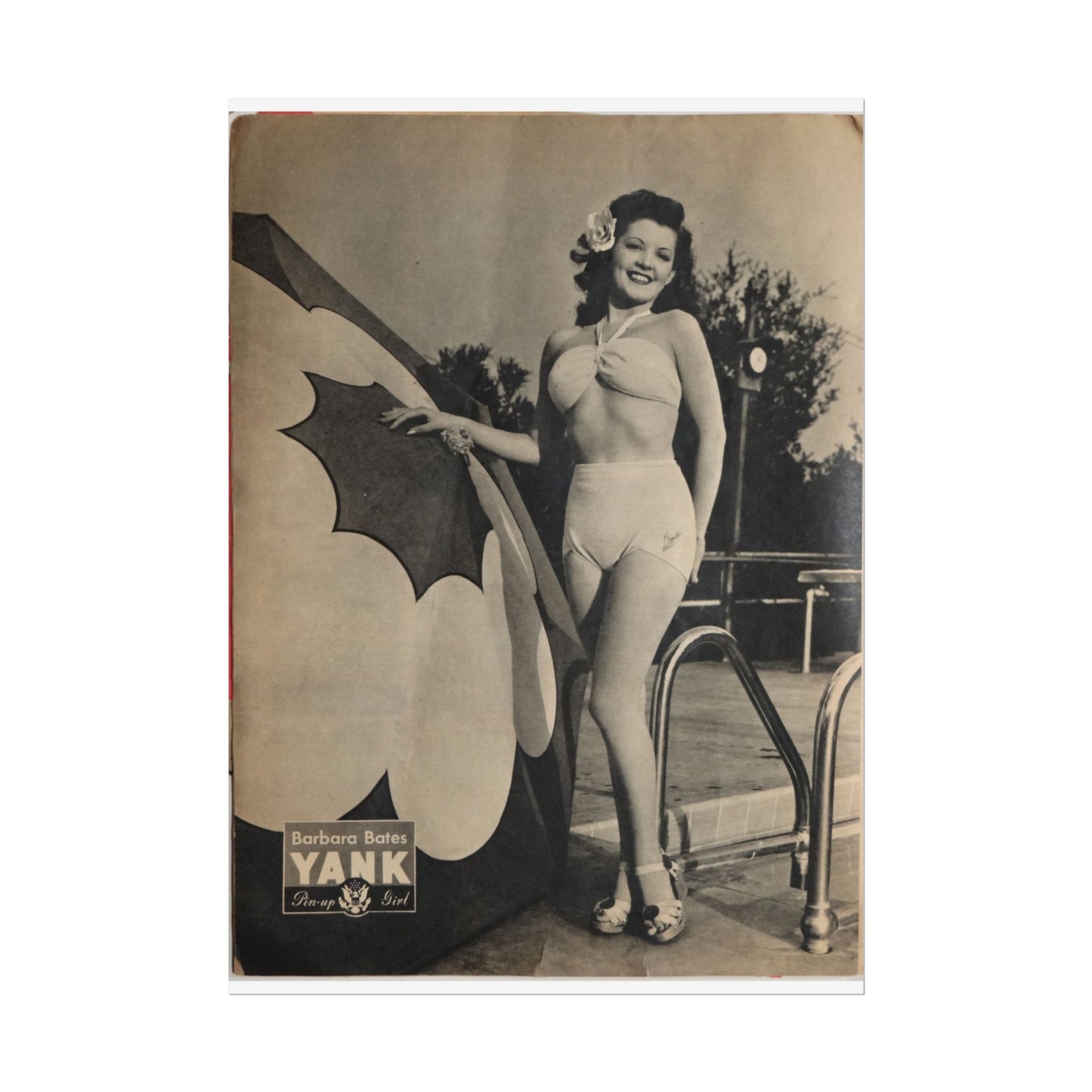 Pin Up Girl Barbara Bates Rolled Poster - Old School Male 