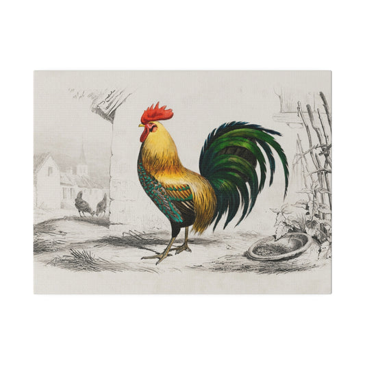 Vintage Rooster Matte Canvas, Stretched, 0.75" - Old School Male 