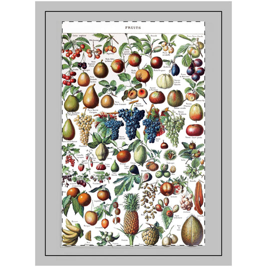 Fruit Chart Wall Tapestry, Kitchen Decor, Fruit Lover Gift, Botanical Wall Hanging, Farmhouse Wall Art, Foodie Home Decor, Healthy Eating - Old School Male 