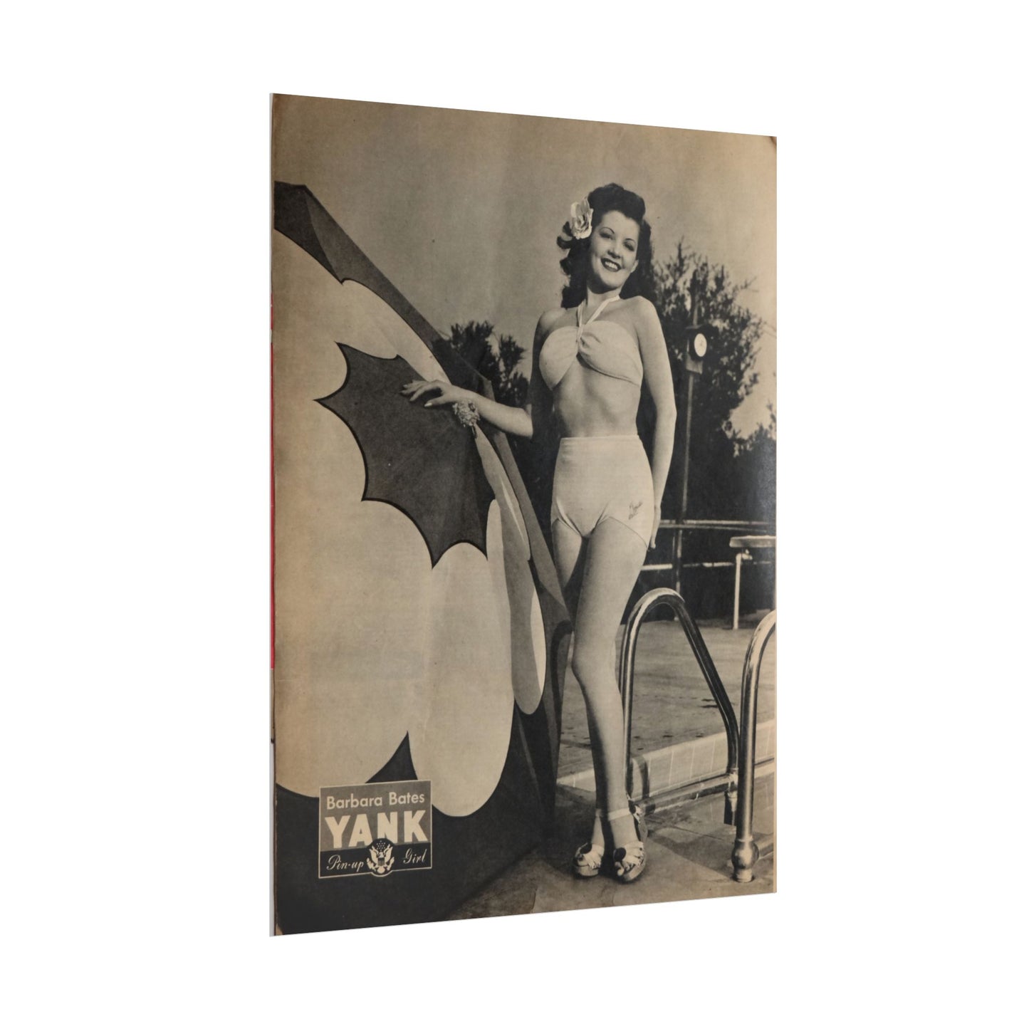 Pin Up Girl Barbara Bates Rolled Poster